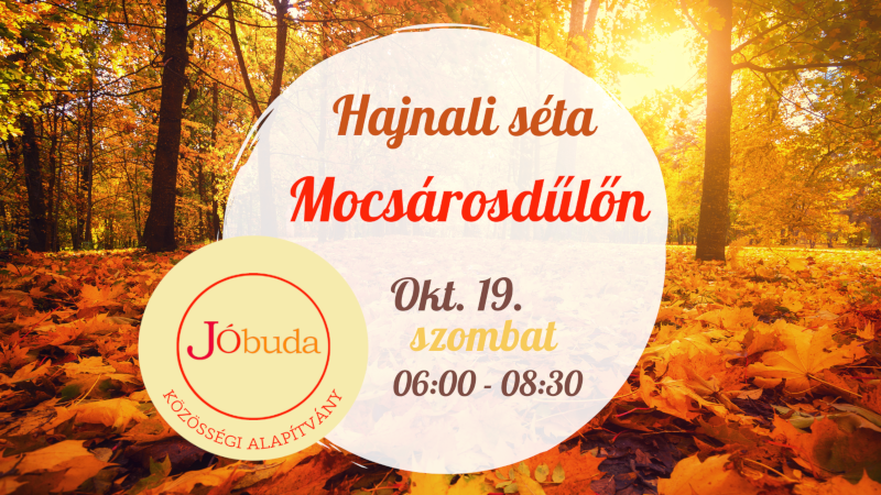 JÓ reggelt, JÓbuda! – Hajnali séta Mocsárosdűlőn