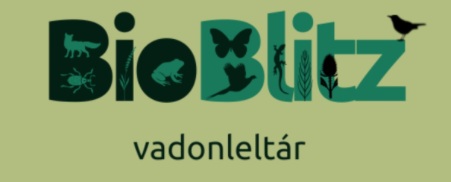 BioBlitz – Vadonleltár a Táborhegyi parkban